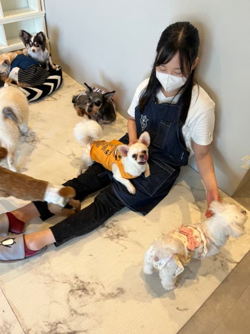 動物のお世話の様子