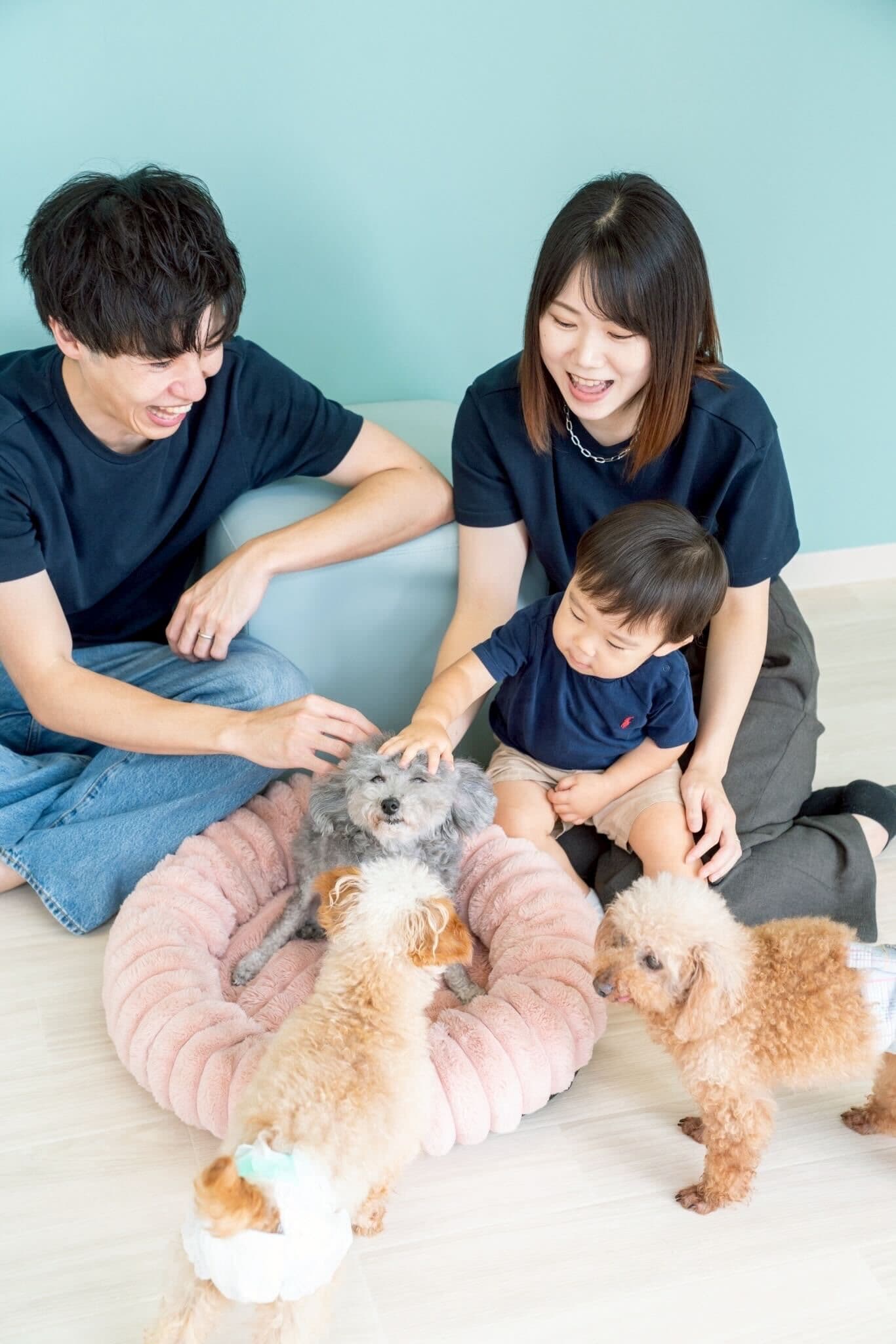 保護犬猫とのふれあい