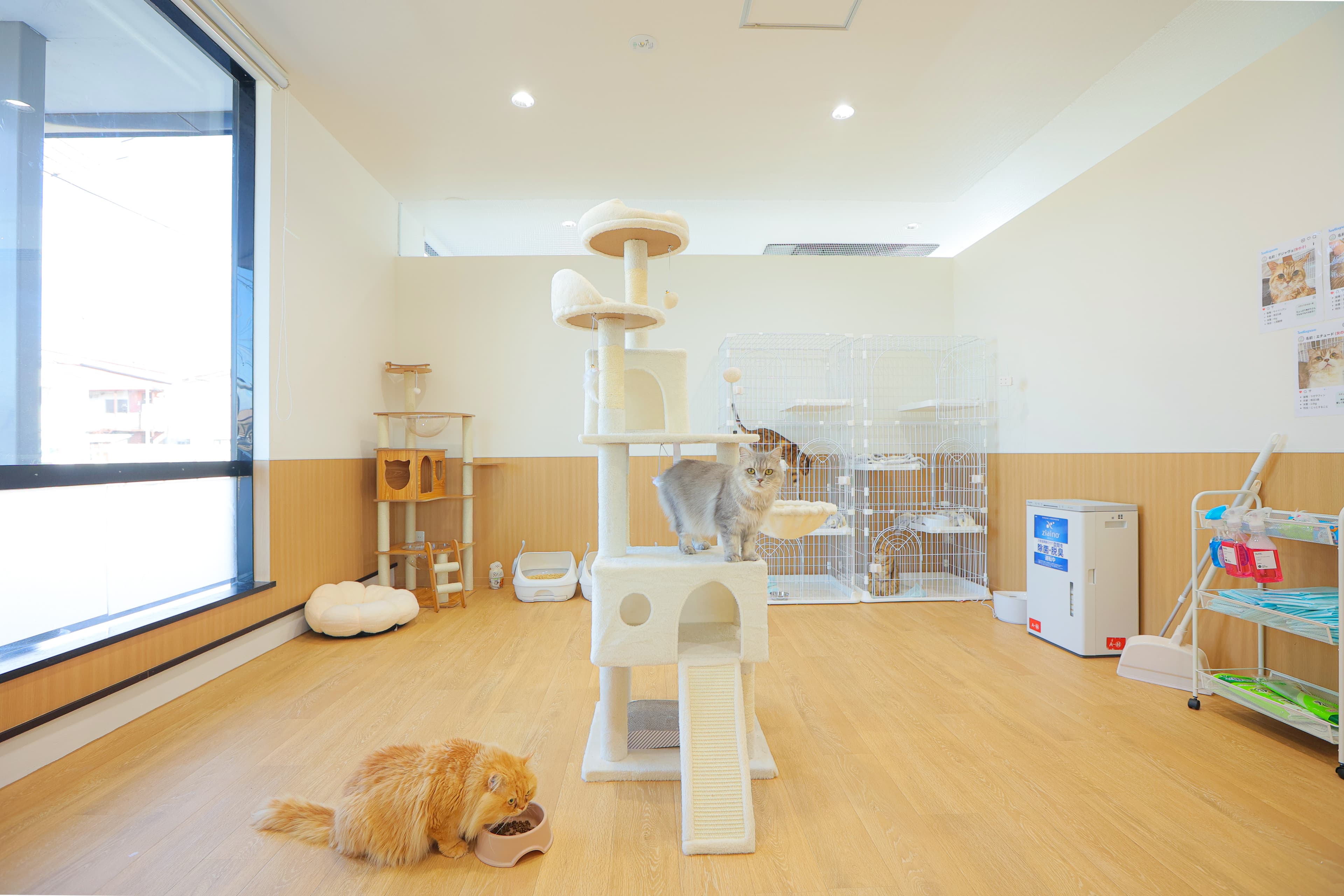 柔らかな照明で彩られた店内全景