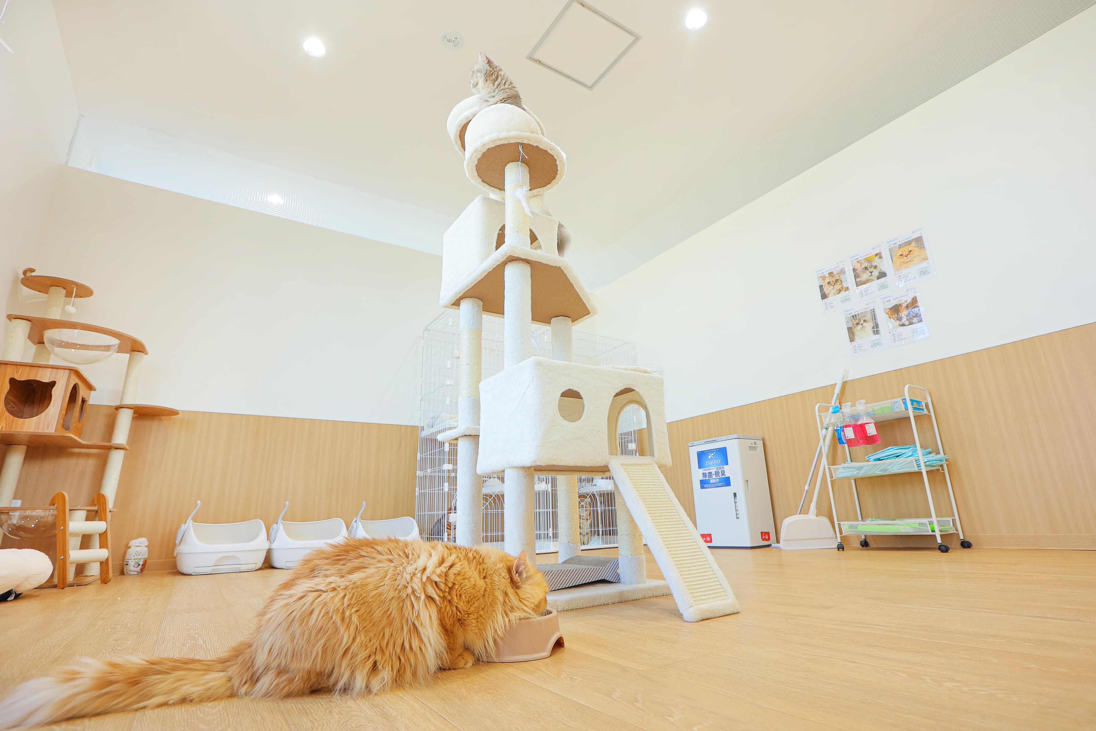 ソファとテーブルが配置された休憩エリア