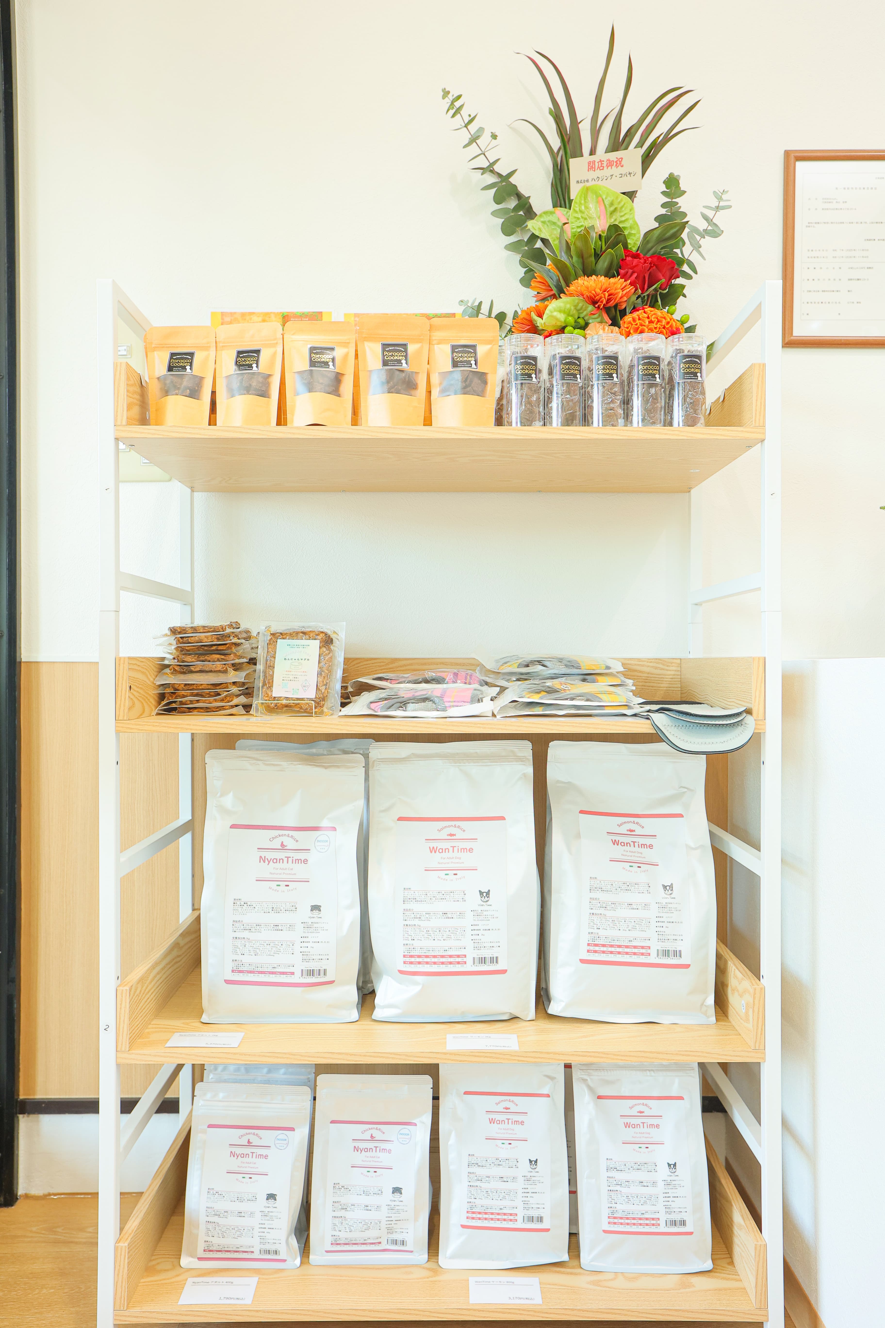 キャットタワーが並ぶ遊び場