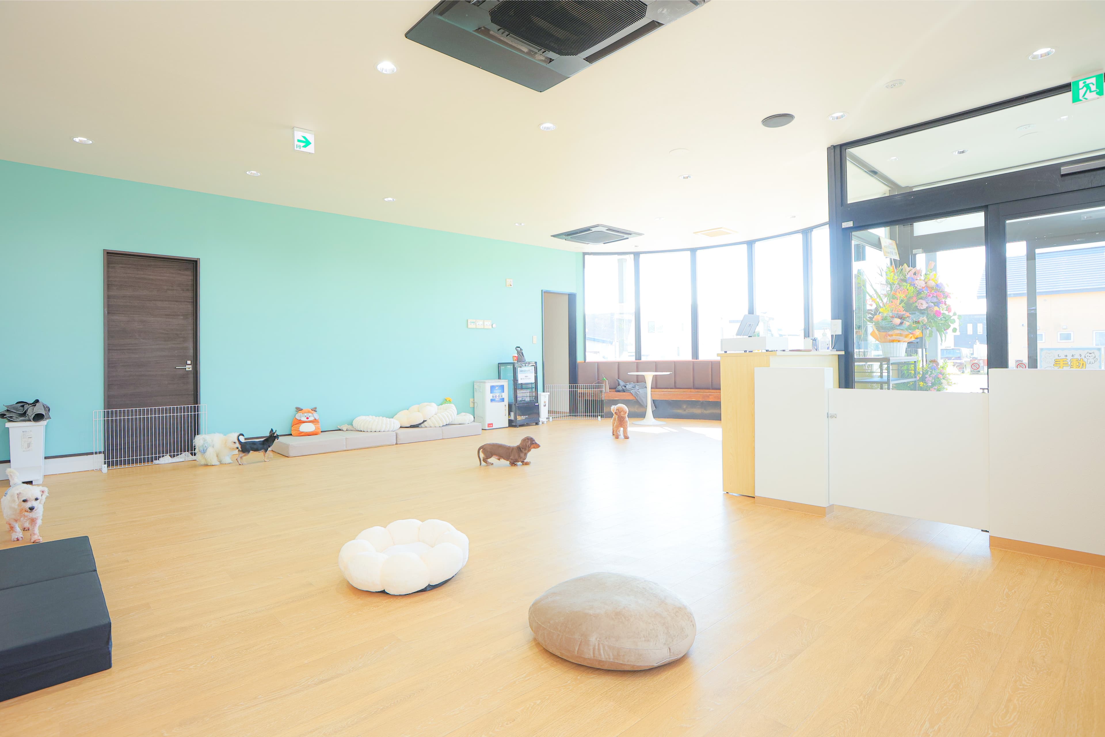 窓辺の猫スペースとキャットウォーク