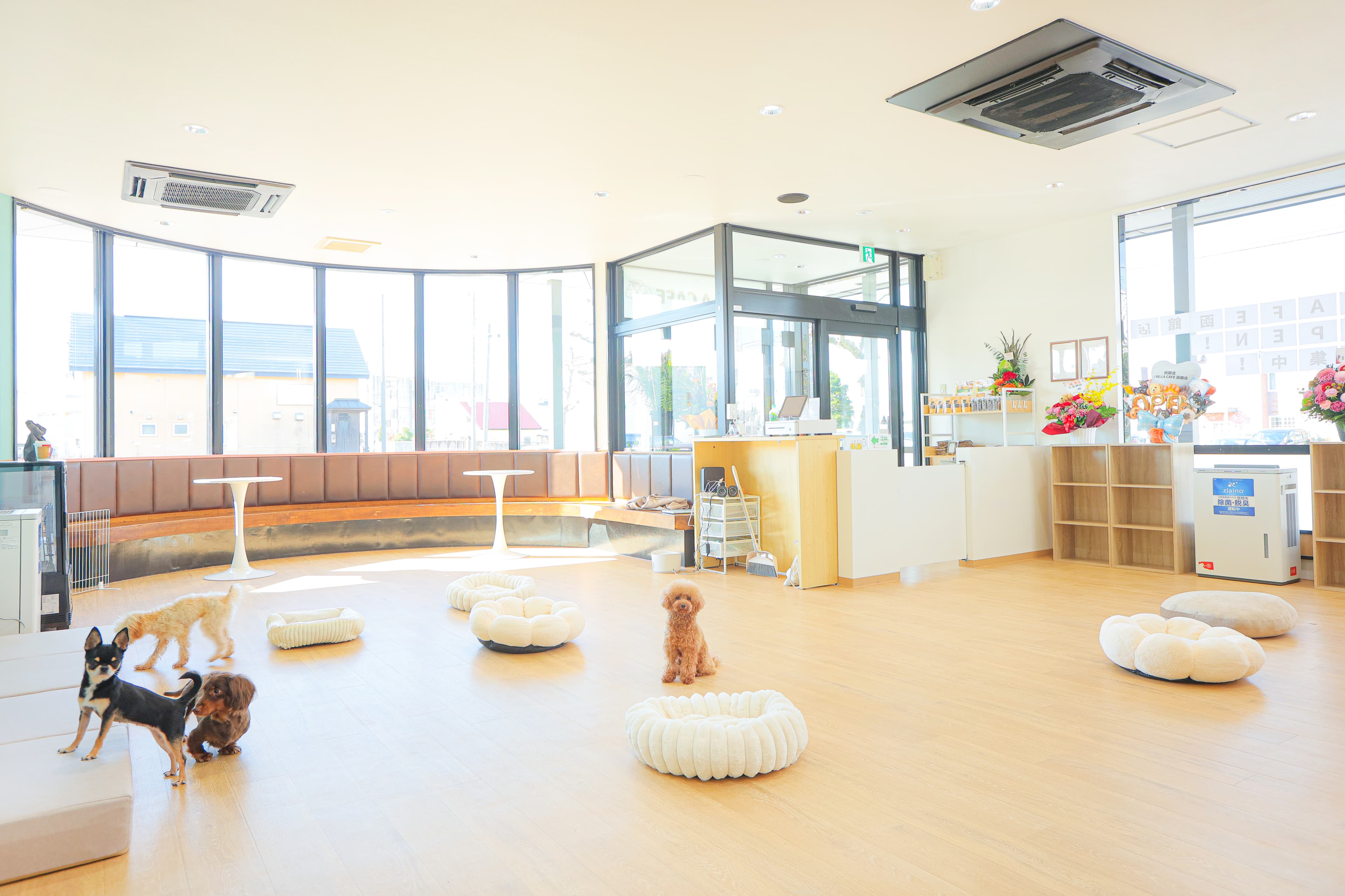 ロースツールが並ぶカフェスペース