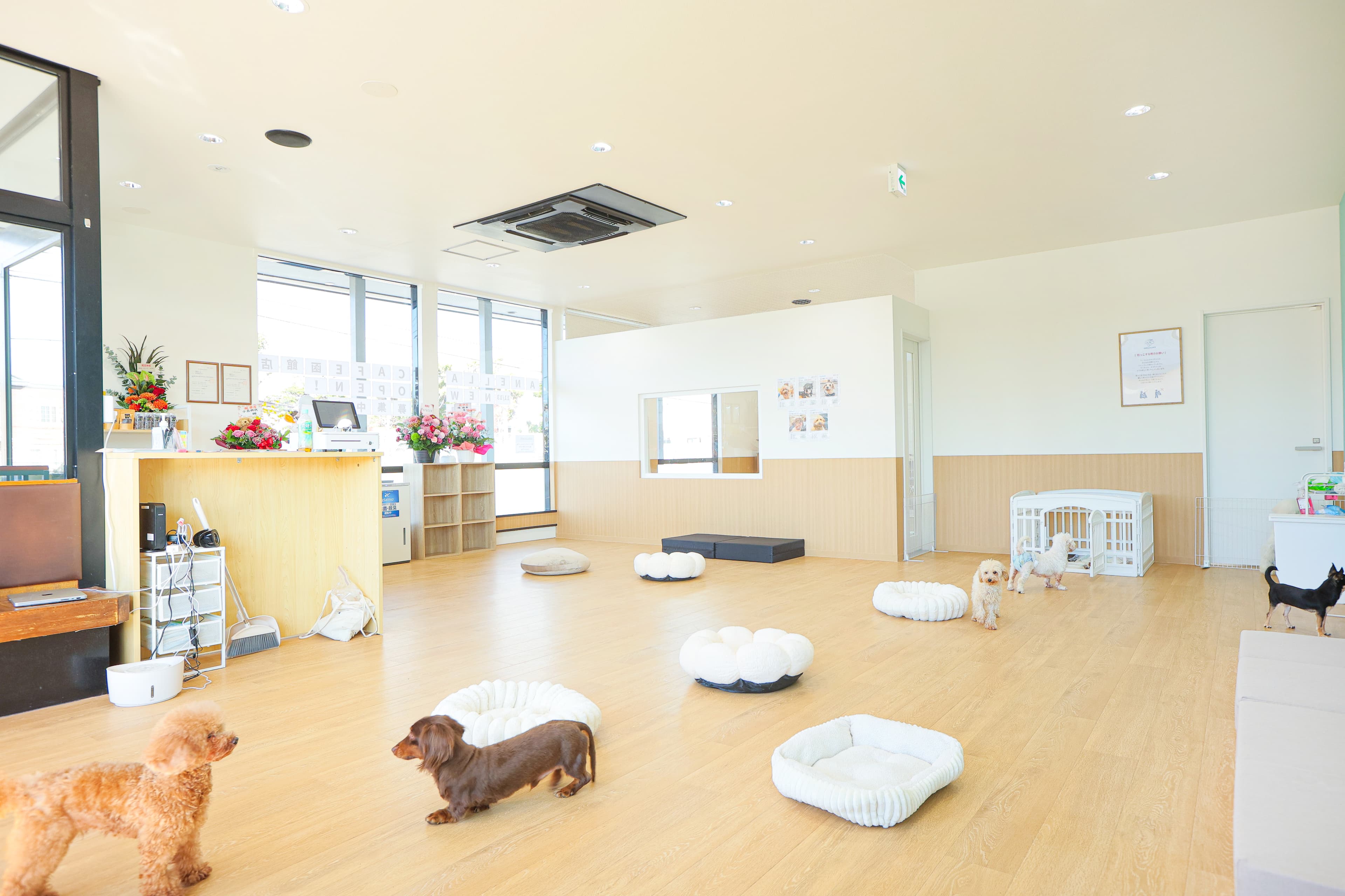 広々としたドッグランエリア