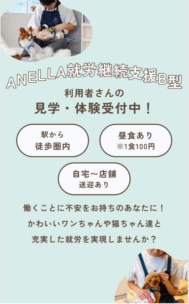 就労継続支援B型で働く日本人利用者さんと保護犬猫の様子