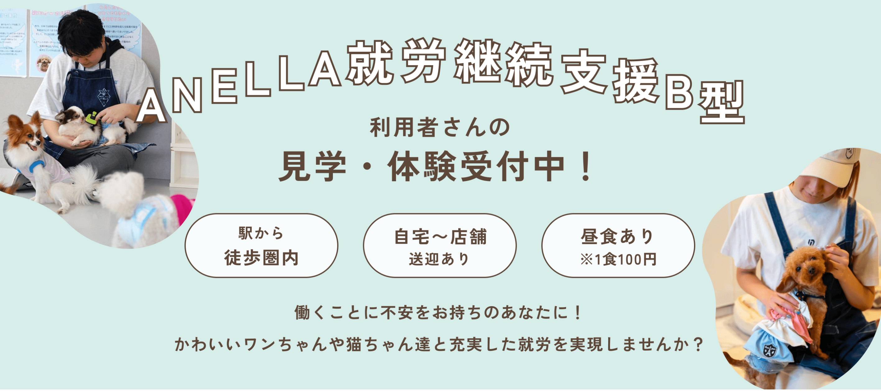 就労継続支援B型で働く日本人利用者さんと保護犬猫の様子