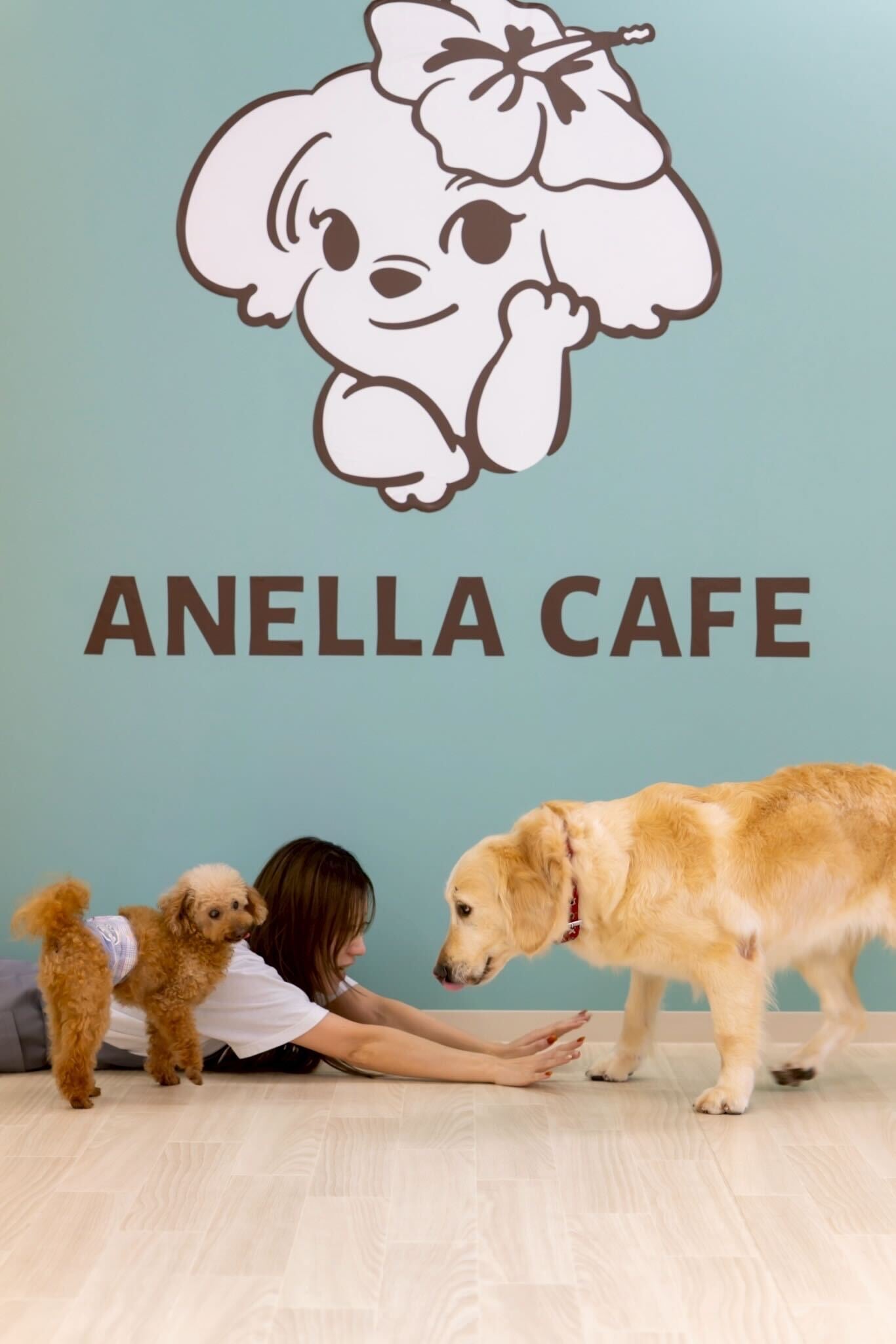 ANELLA CAFEの温かい外観