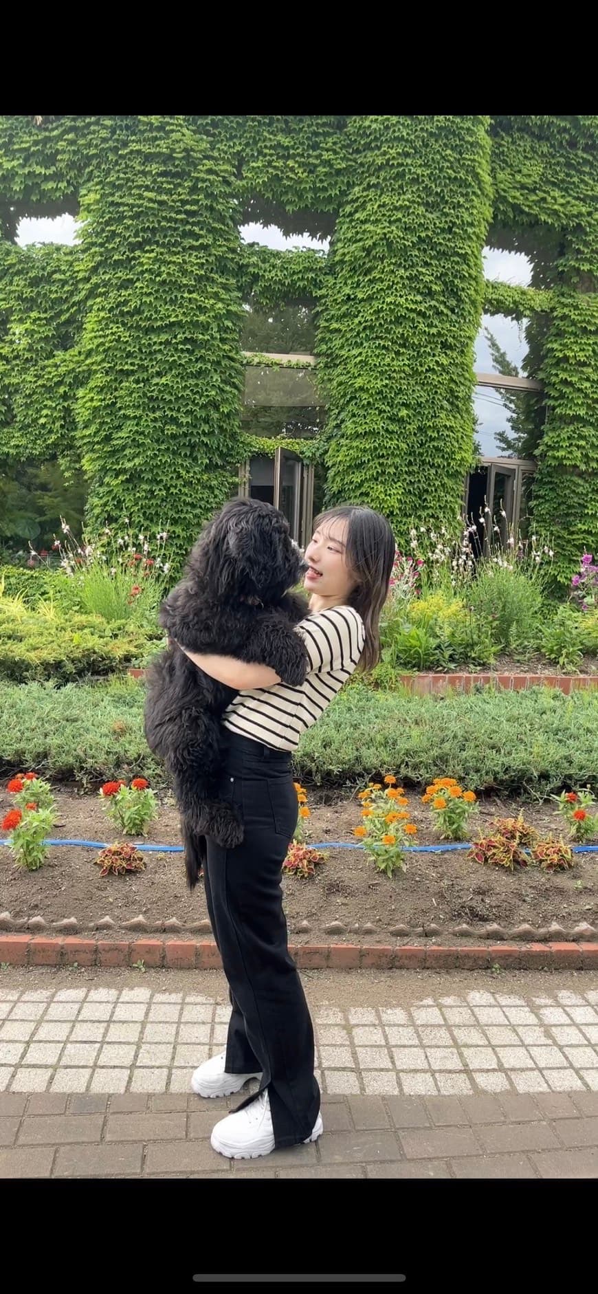 愛玩動物看護師 日下部