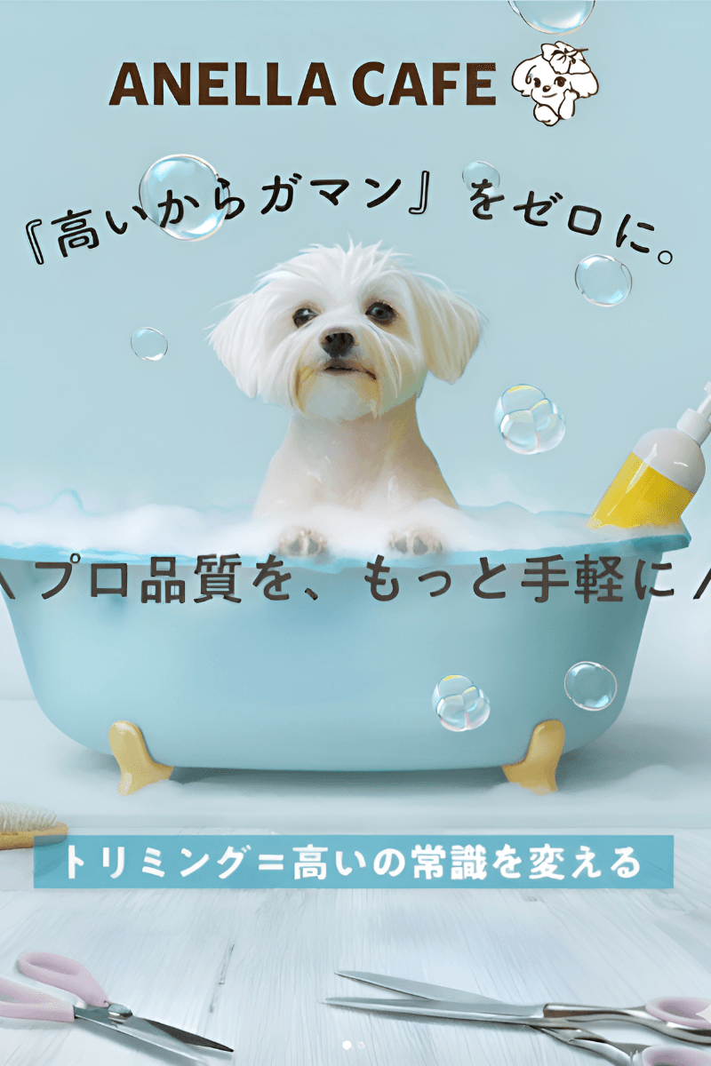 プロのトリマーによる犬のグルーミングの様子