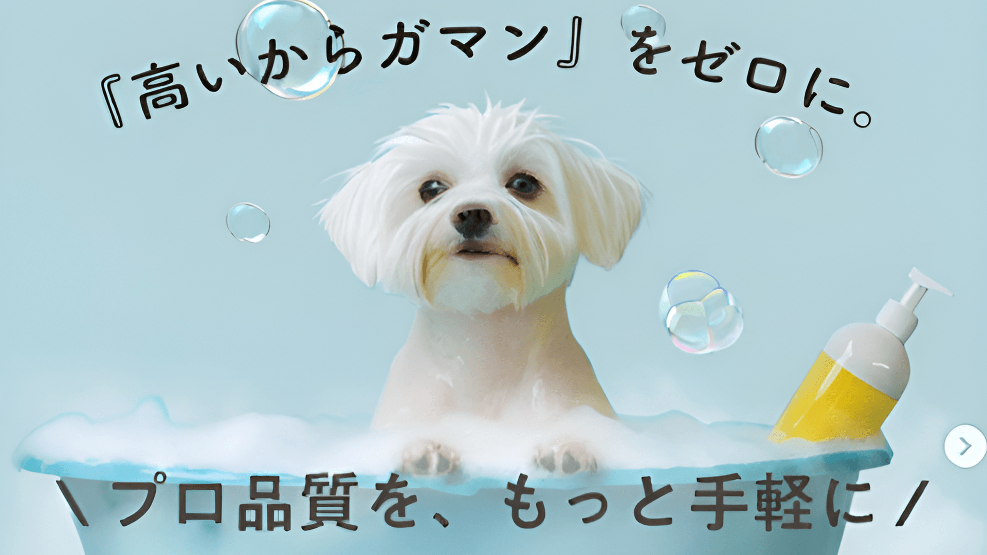 プロのトリマーによる犬のグルーミングの様子